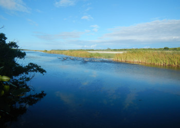 Пресный водоём на острове Кайман-Брак (Cayman Brac Island) – фотографии Каймановых островов