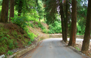 Цихисдзири, Грузия, фото № 73731 – фотографии Грузии