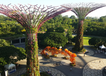 Красивый парк Gardens by the Bay – фотографии Сингапура