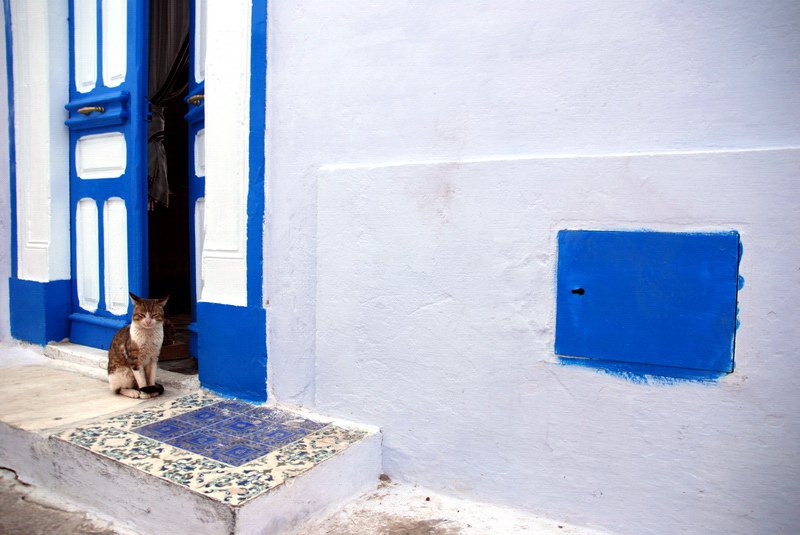 Житель Северного Туниса – фотографии Туниса