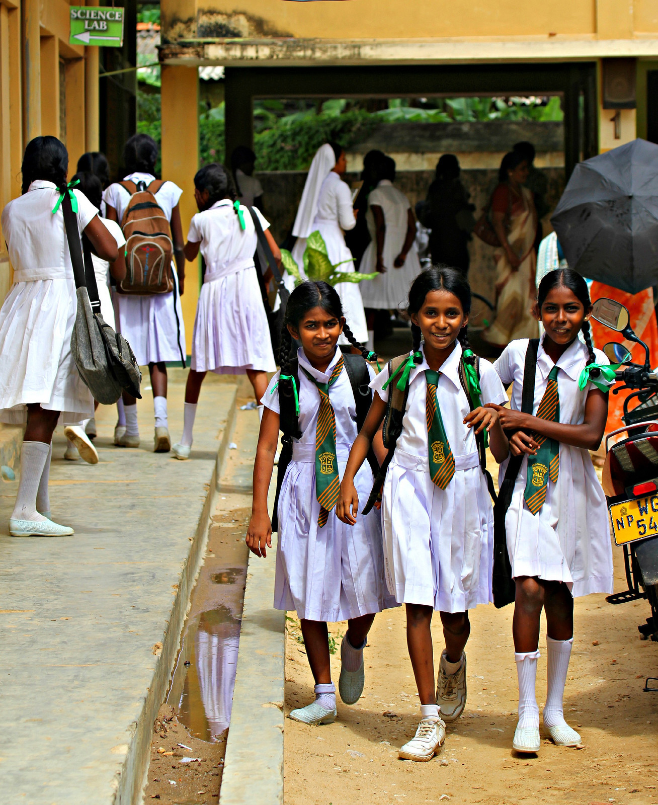 Джафна, Шри-Ланка. Фото 8 – фотографии Шри-Ланки