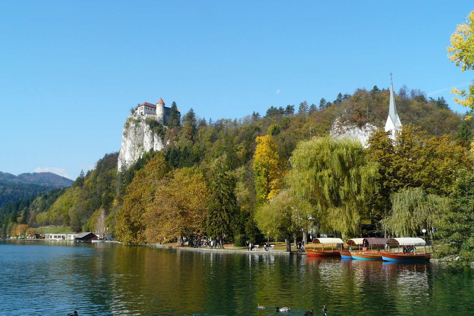 Блед Озеро, Словения, фото № 56834 – фотографии Словении