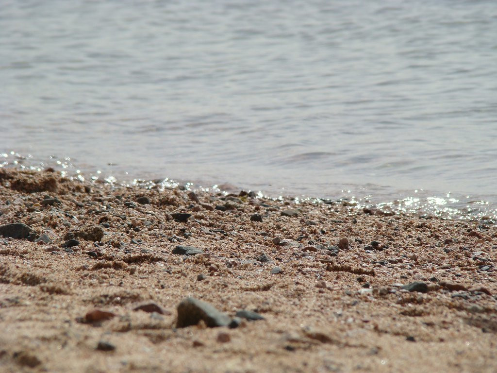 Акаба, Иордания, фото № 36072 – фотографии Иордании