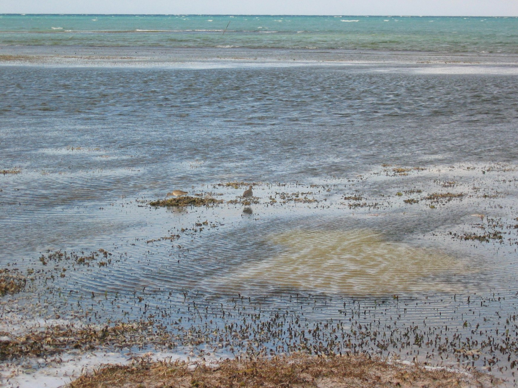 Море в Кайо-Коко, Куба. Фото 24 – фотографии Кубы