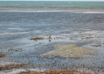 Море в Кайо-Коко, Куба. Фото 24 – фотографии Кубы