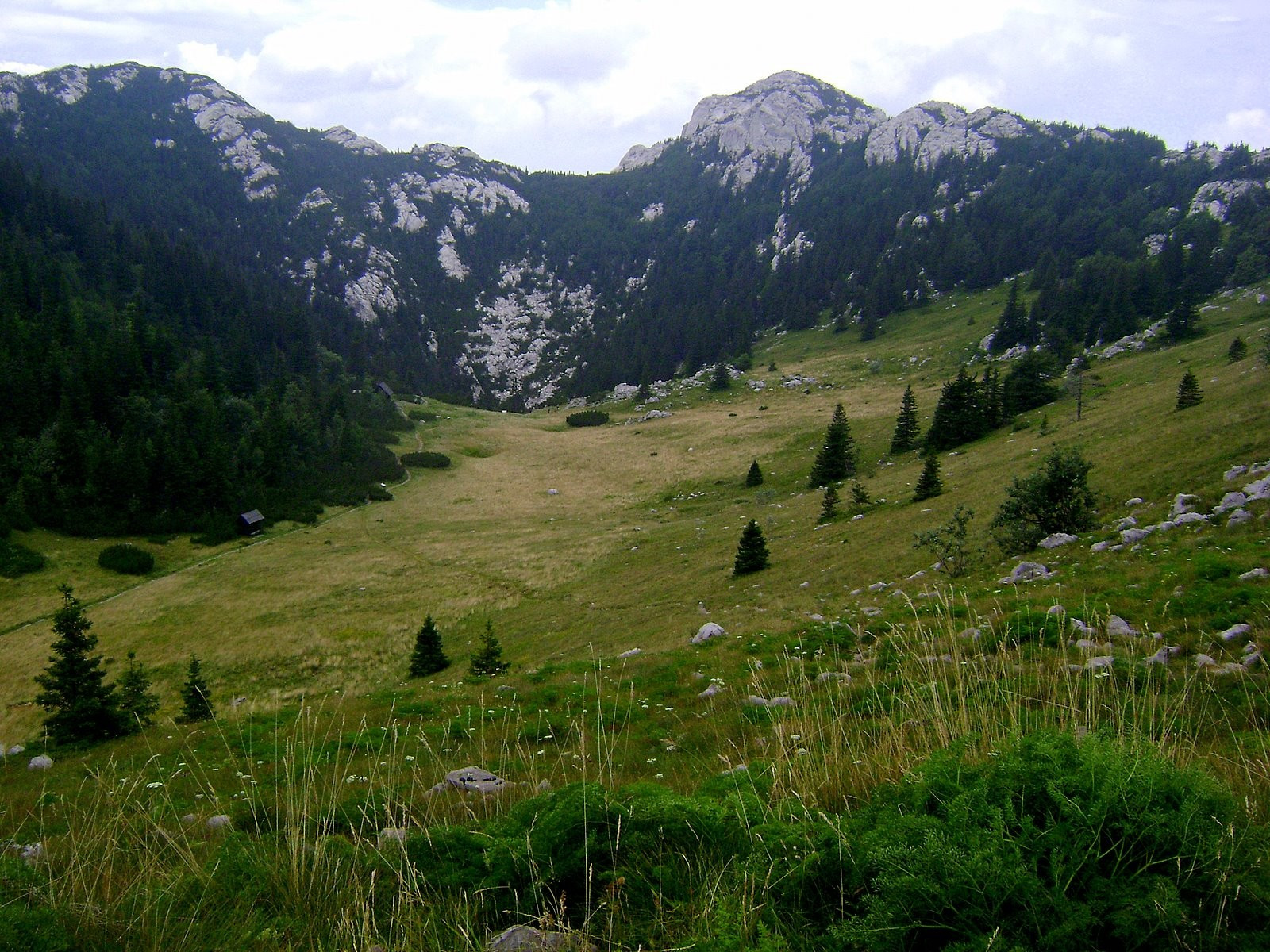 Природа в Северный Велебит Национальный, Хорватия – фотографии Хорватии