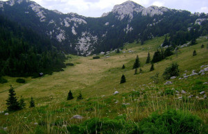 Природа в Северный Велебит Национальный, Хорватия – фотографии Хорватии