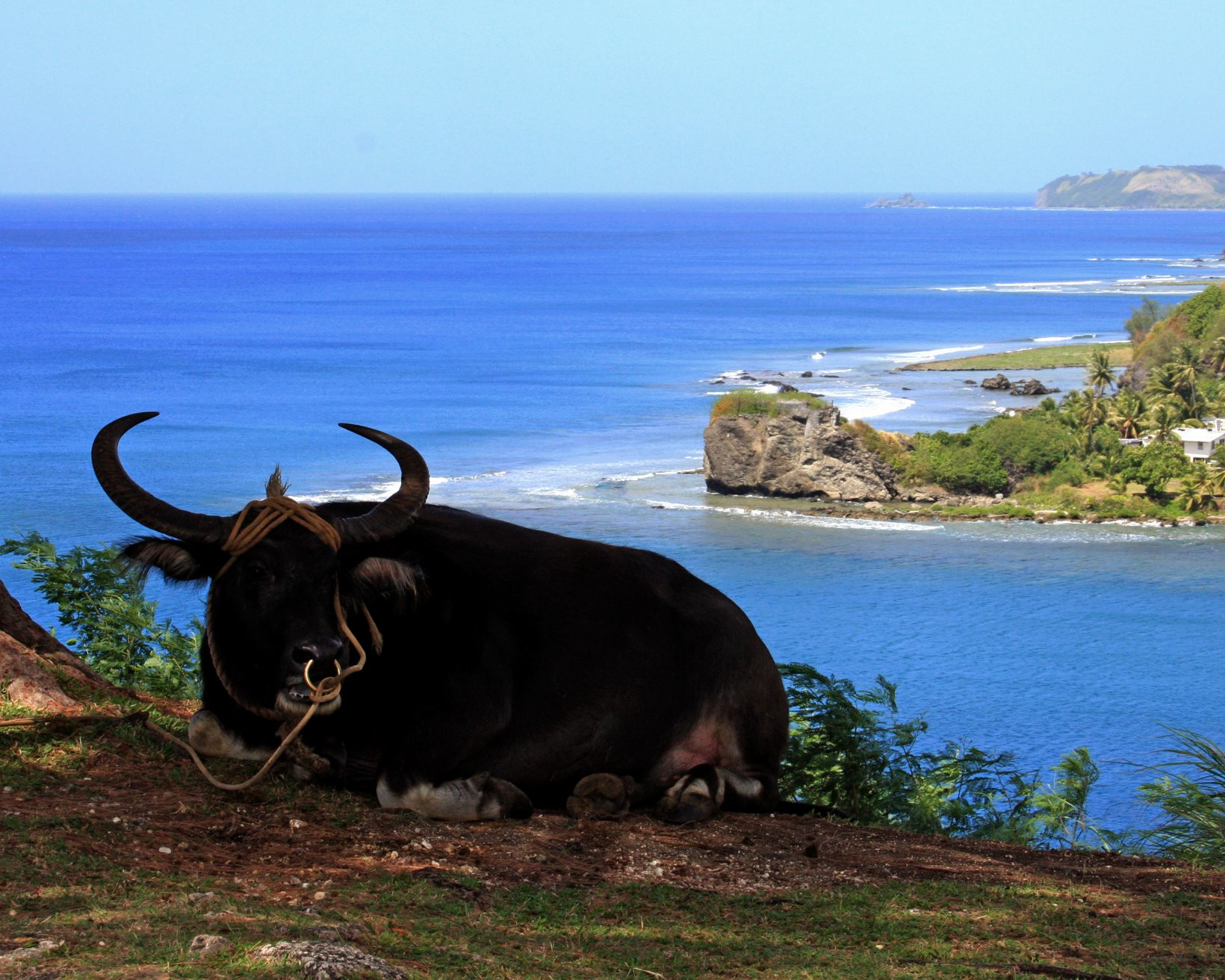 Гуам, фото № 5116 – фотографии Гуама