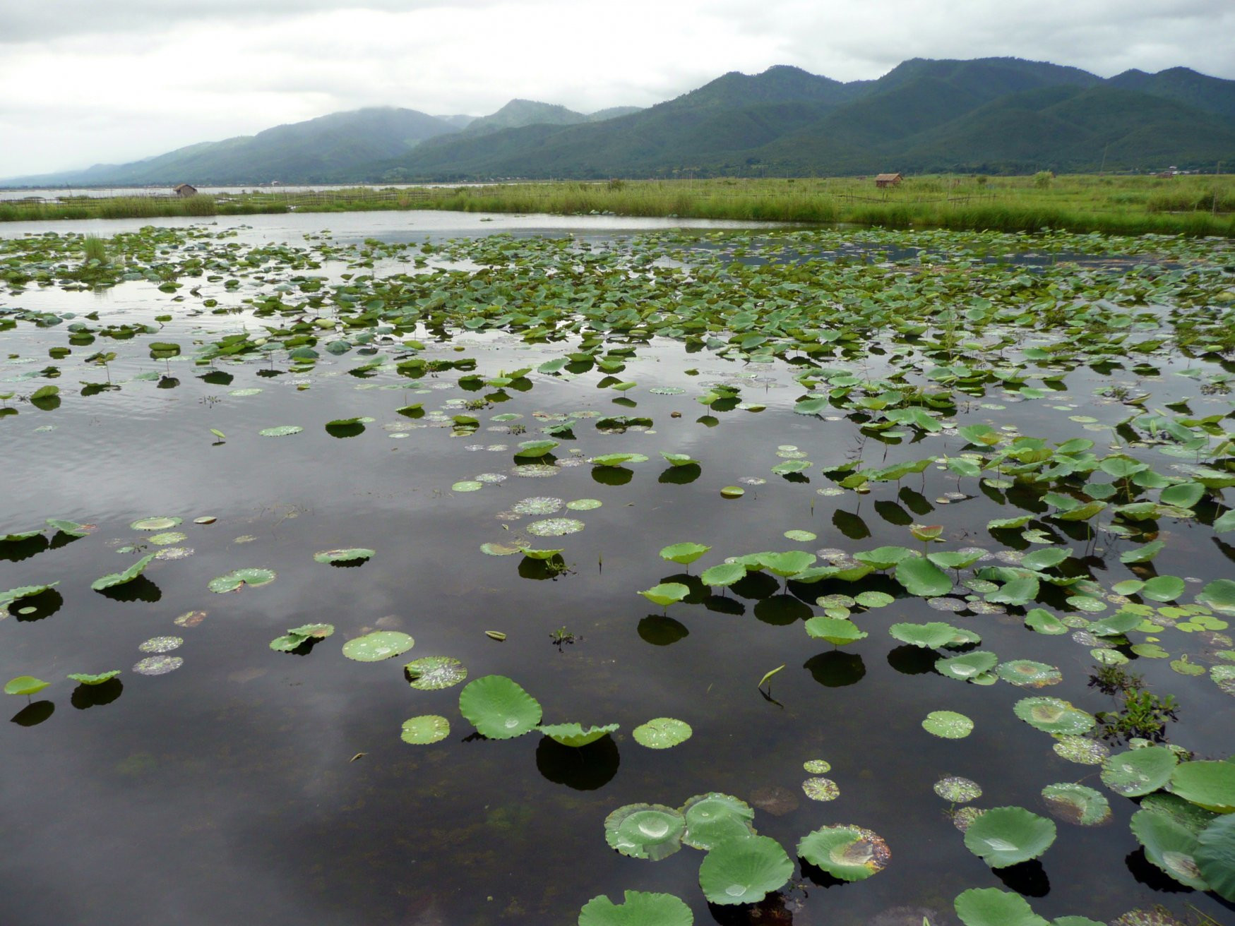 Красиво – фотографии Мьянмы