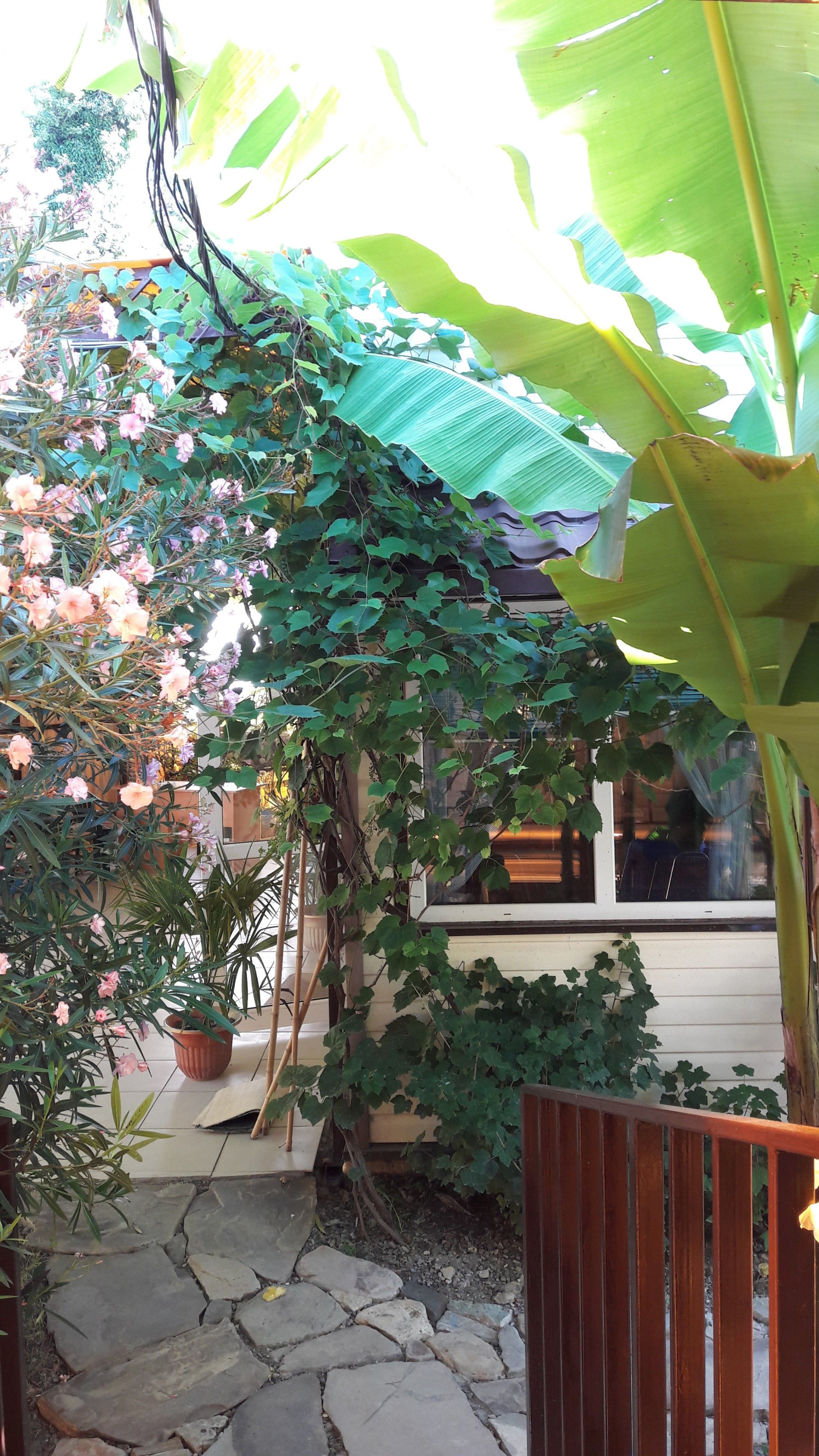 Просто садик – фотографии России