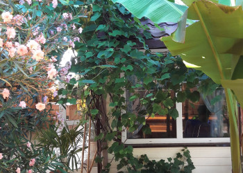 Просто садик – фотографии России