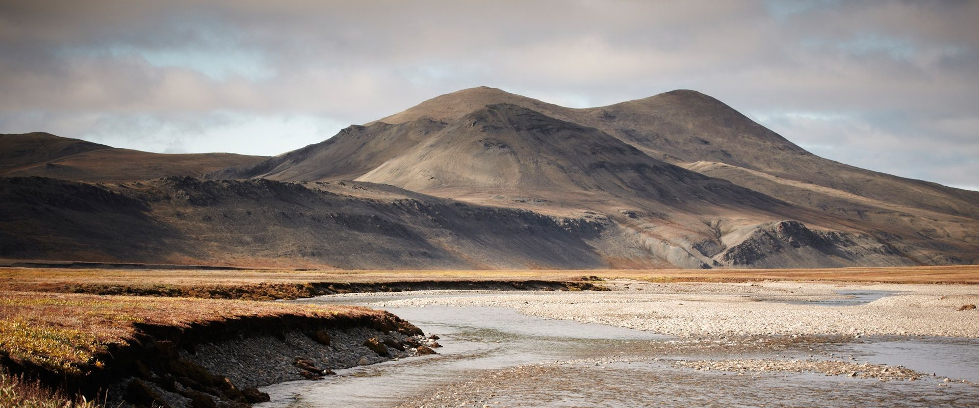 Остров Врангеля 1 – фотографии России