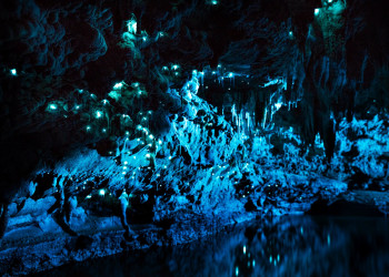 Светящиеся черви в пещерах Вайтомо имеют довольно необычное расположение – фотографии Новой Зеландии