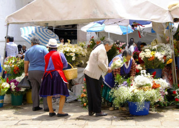 Ecuador_Cuenca – фотографии Эквадора