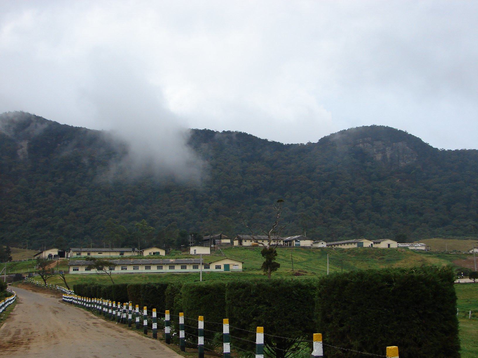 Нувара Элия, Шри-Ланка, фото № 52009 – фотографии Шри-Ланки