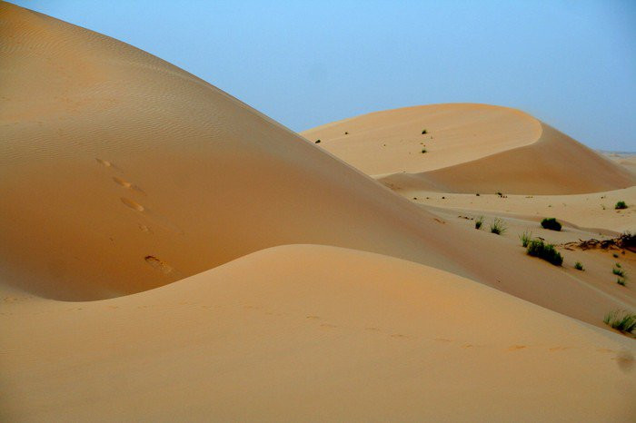 ОАЭ, фото № 1584 – фотографии ОАЭ