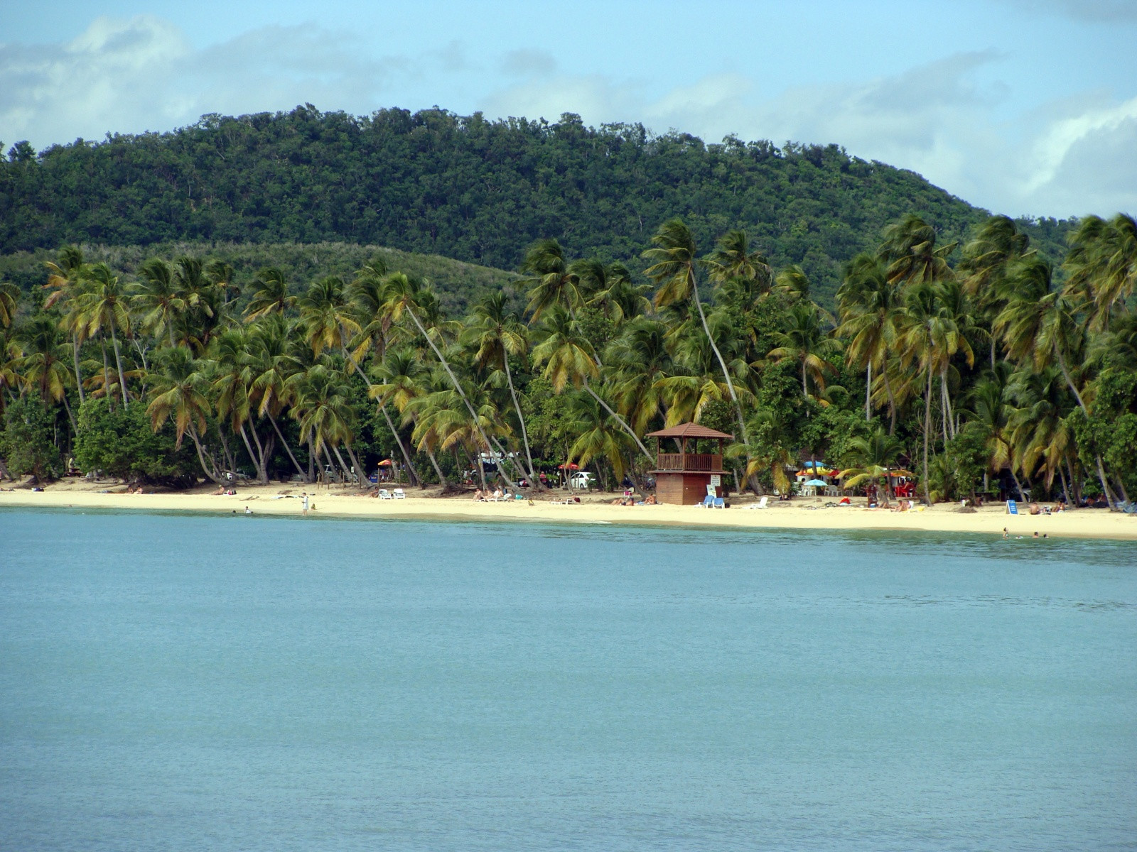 Пляж Лес-Салинес (Les Salines, Мартиника) – фотографии Мартиники