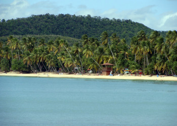 Пляж Лес-Салинес (Les Salines, Мартиника) – фотографии Мартиники