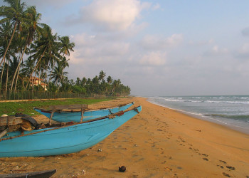 Ваддува, Шри-Ланка, фото № 50808 – фотографии Шри-Ланки