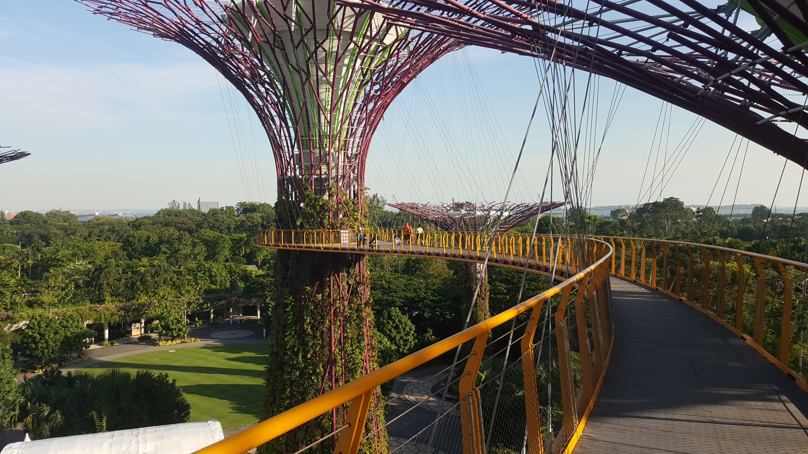Сады у Залива (Gardens by the Bay). Фото 4 – фотографии Сингапура