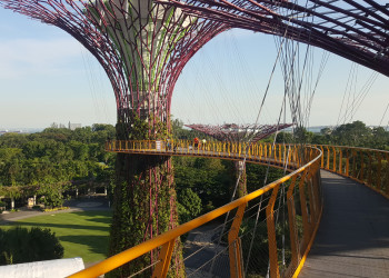 Сады у Залива (Gardens by the Bay). Фото 4 – фотографии Сингапура
