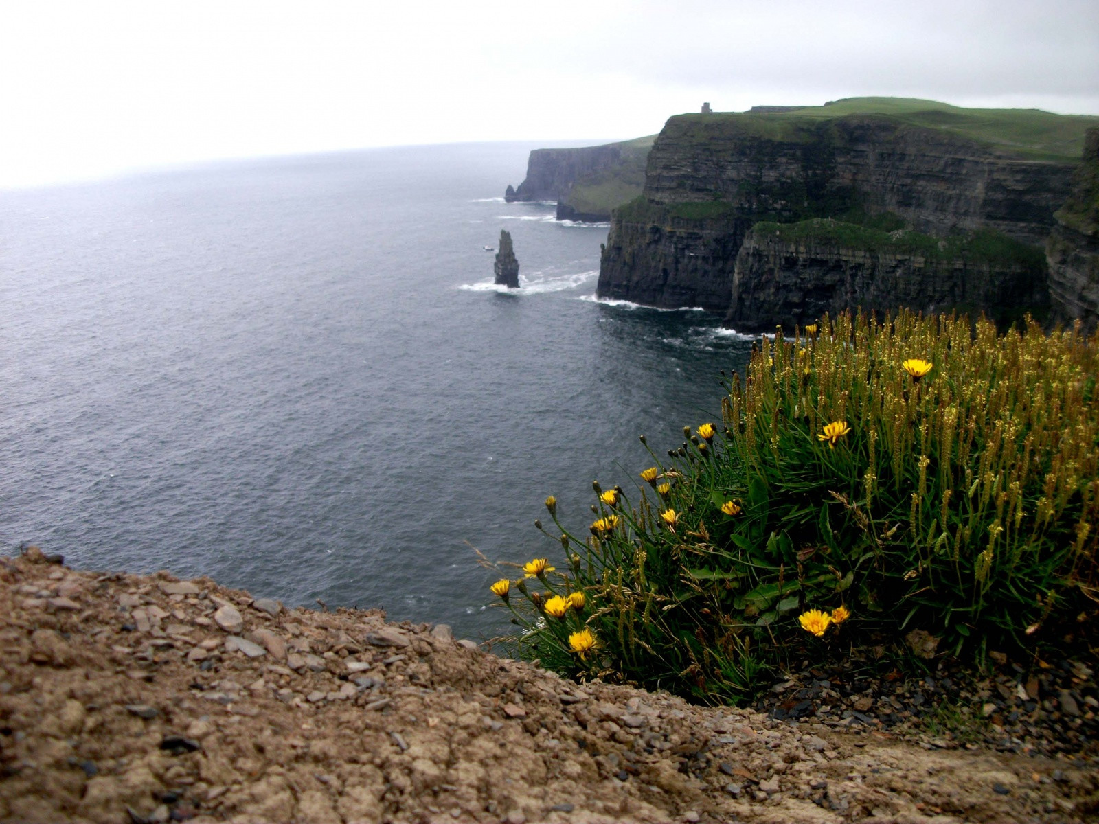 Утёсы Мохер на западе Ирландии – фотографии Ирландии