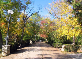 Парк в Саки, Россия – фотографии России