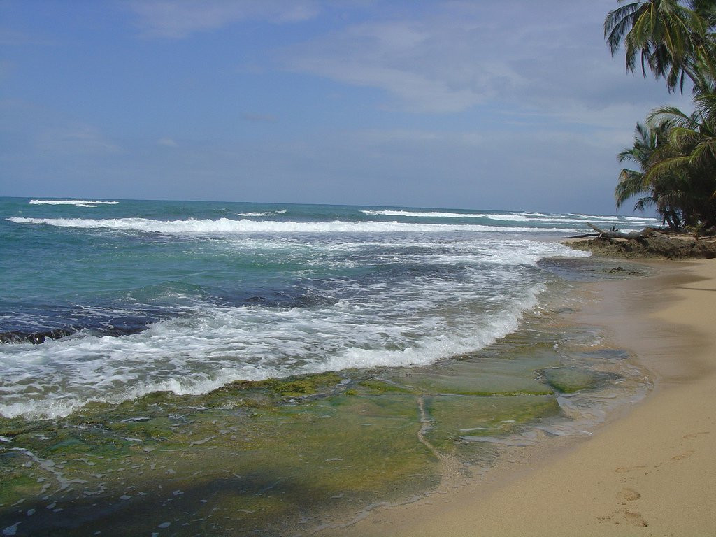 Манзанилло, Лимон провинция, Коста-Рика, фото № 40128 – фотографии Коста-Рики