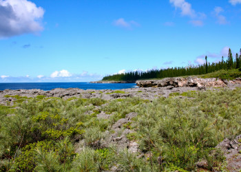 Остров Пен (Isle of Pines) в Новой Каледонии. Фото 14 – фотографии Новой Каледонии