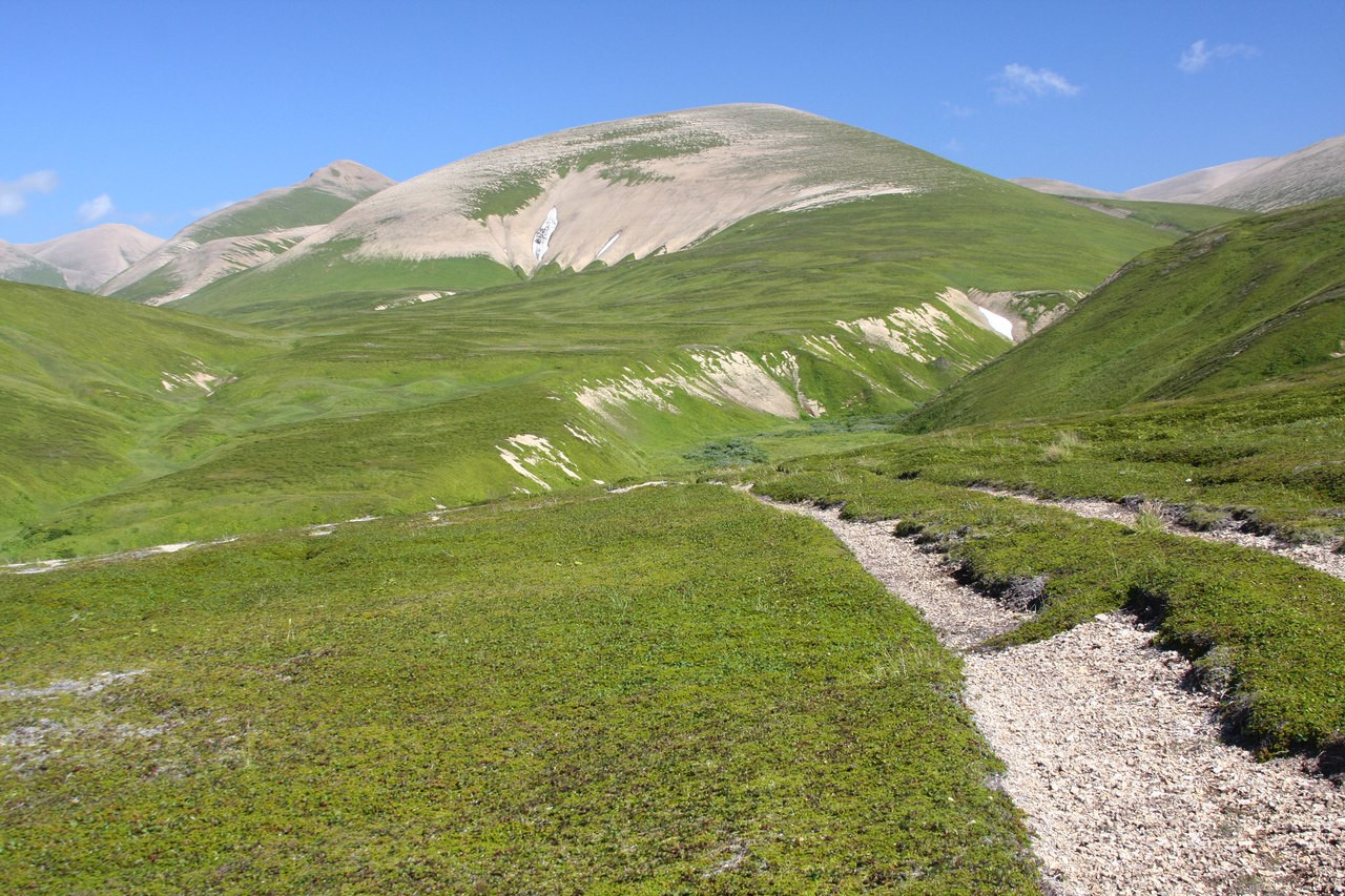 Командорский заповедник. Фото 5 – фотографии России