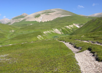 Командорский заповедник. Фото 5 – фотографии России