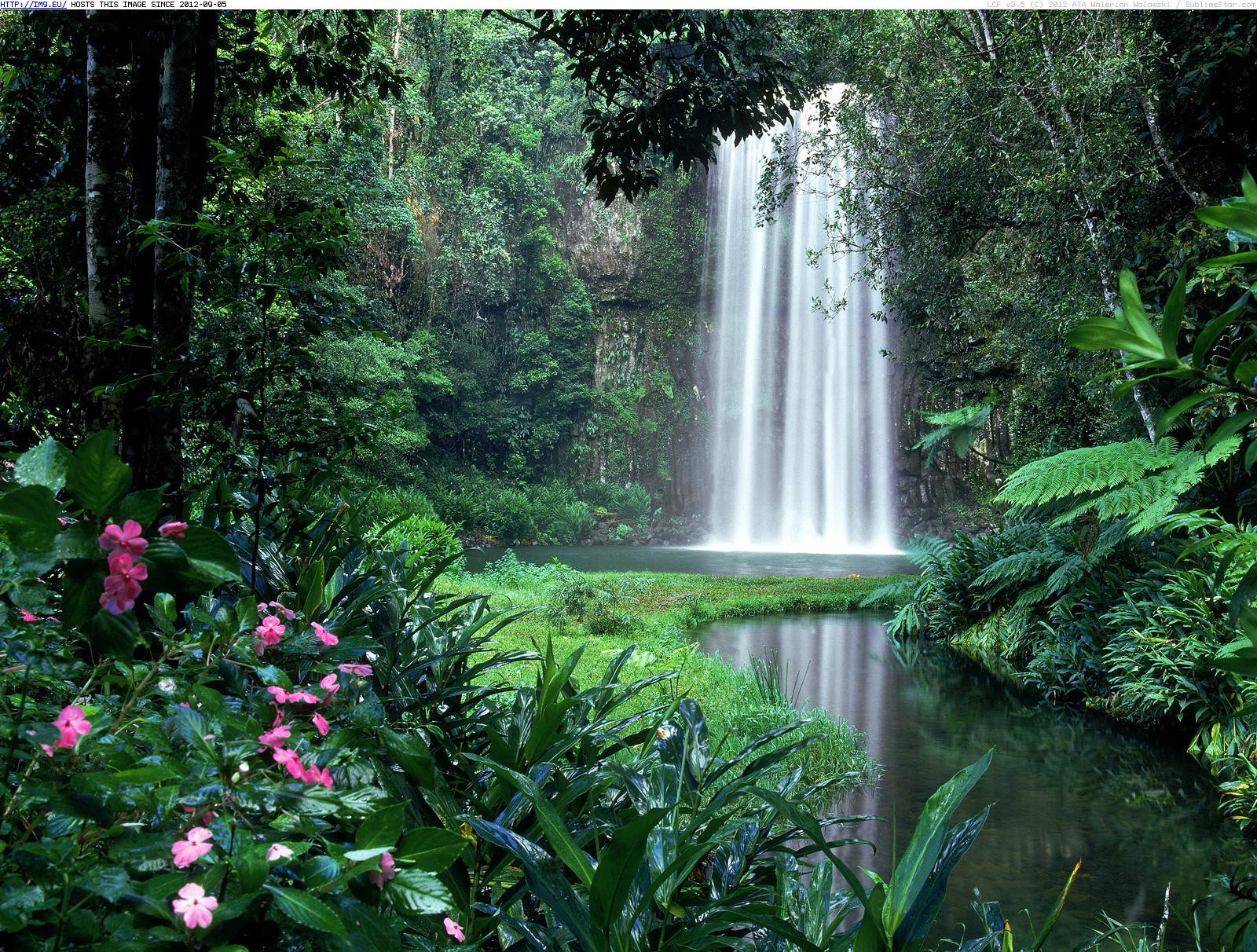 Водопад Милла-Милла (Millaa Millaa) в Атертоне – фотографии Австралии