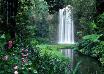 Водопад Милла-Милла (Millaa Millaa) в Атертоне – фотографии Австралии