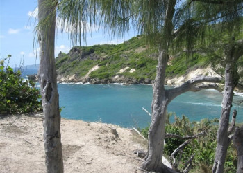 Берега в Барбадосе. Фото 7 – фотографии Барбадоса