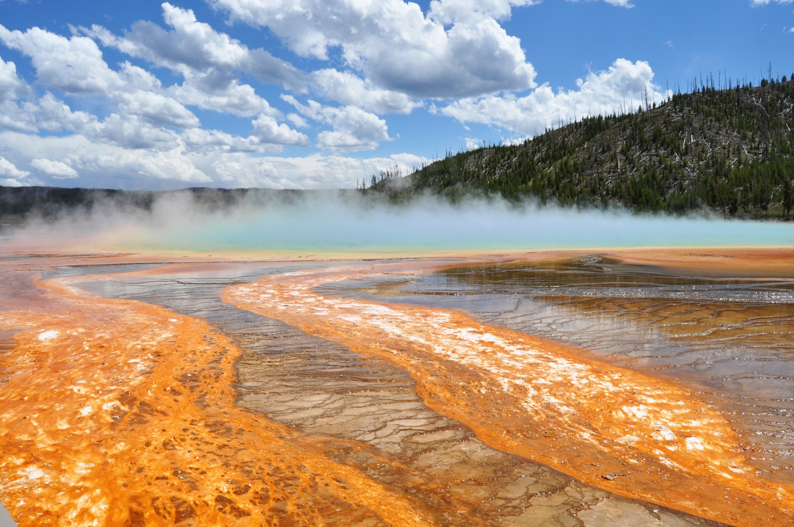 Йеллоустон. Фото 4 – фотографии США