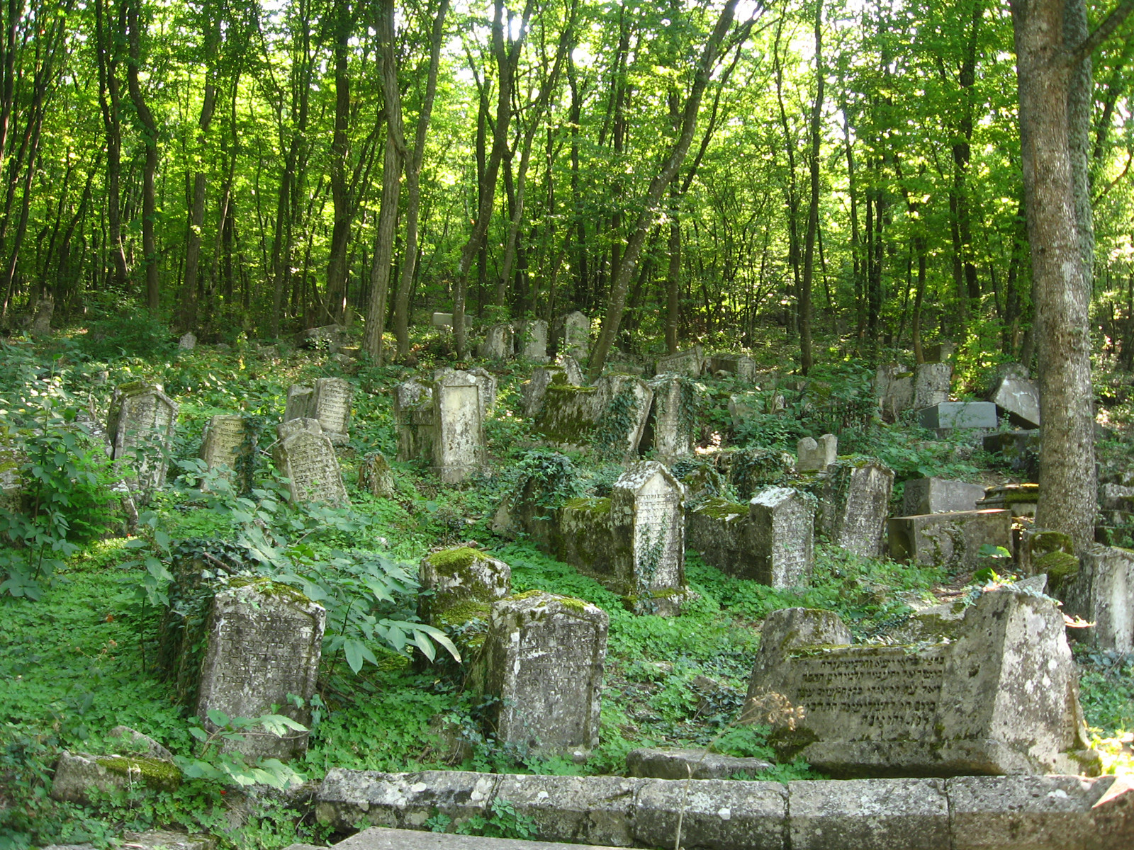 Караимское кладбище в районе Бахчисарая – фотографии России