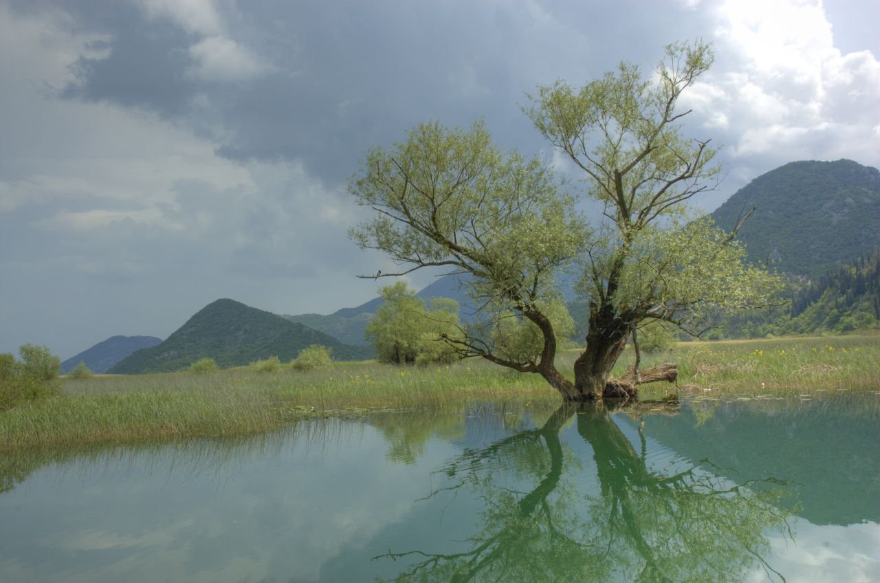 Скадарское озеро, Черногория. Фото 34 – фотографии Черногории