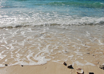 Море на острове Гранд Багама, Багамские острова. Фото 10 – фотографии Багамских островов