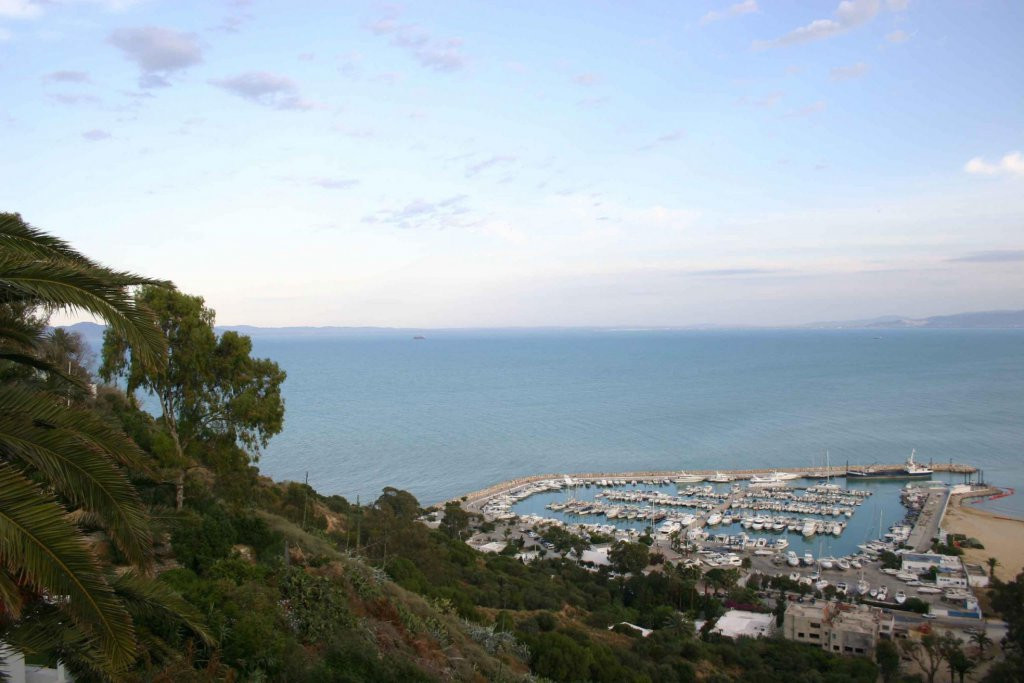 Панорамный вид Северного Туниса. Фото 31 – фотографии Туниса