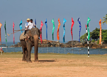 Галле, Шри-Ланка, фото № 50913 – фотографии Шри-Ланки