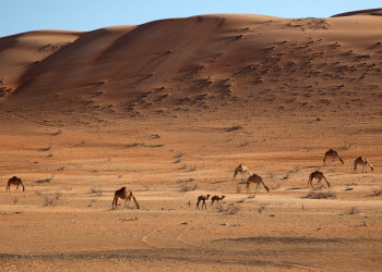 Оман, фото № 5228 – фотографии Омана