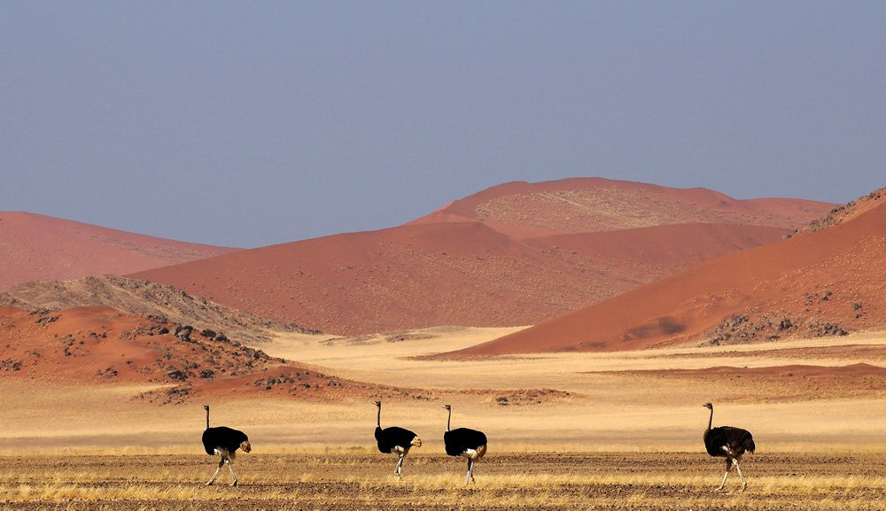 Соссусфлей, Намибия, фото № 80051 – фотографии Намибии