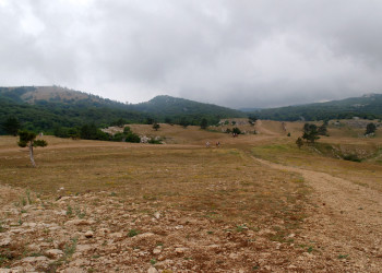 Ай-Петри. Фото 11 – фотографии России