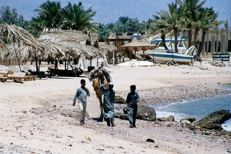 Дахаб, Египет, фото № 34945 – фотографии Египта