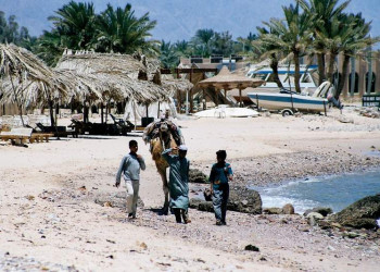 Дахаб, Египет, фото № 34945 – фотографии Египта