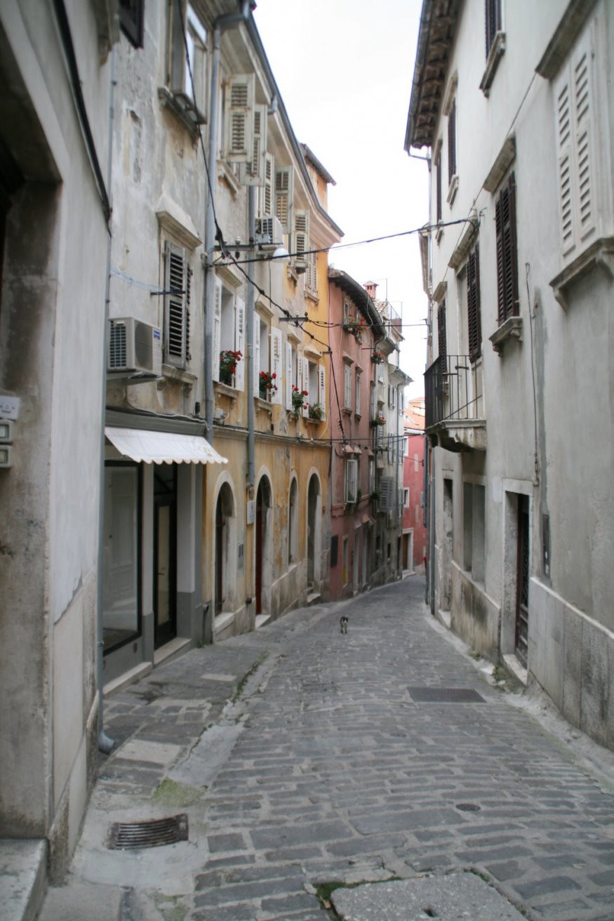 Пиран, Словения, фото № 57402 – фотографии Словении