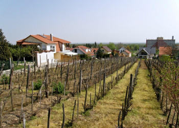 Залакарош, Венгрия, фото № 70206 – фотографии Венгрии