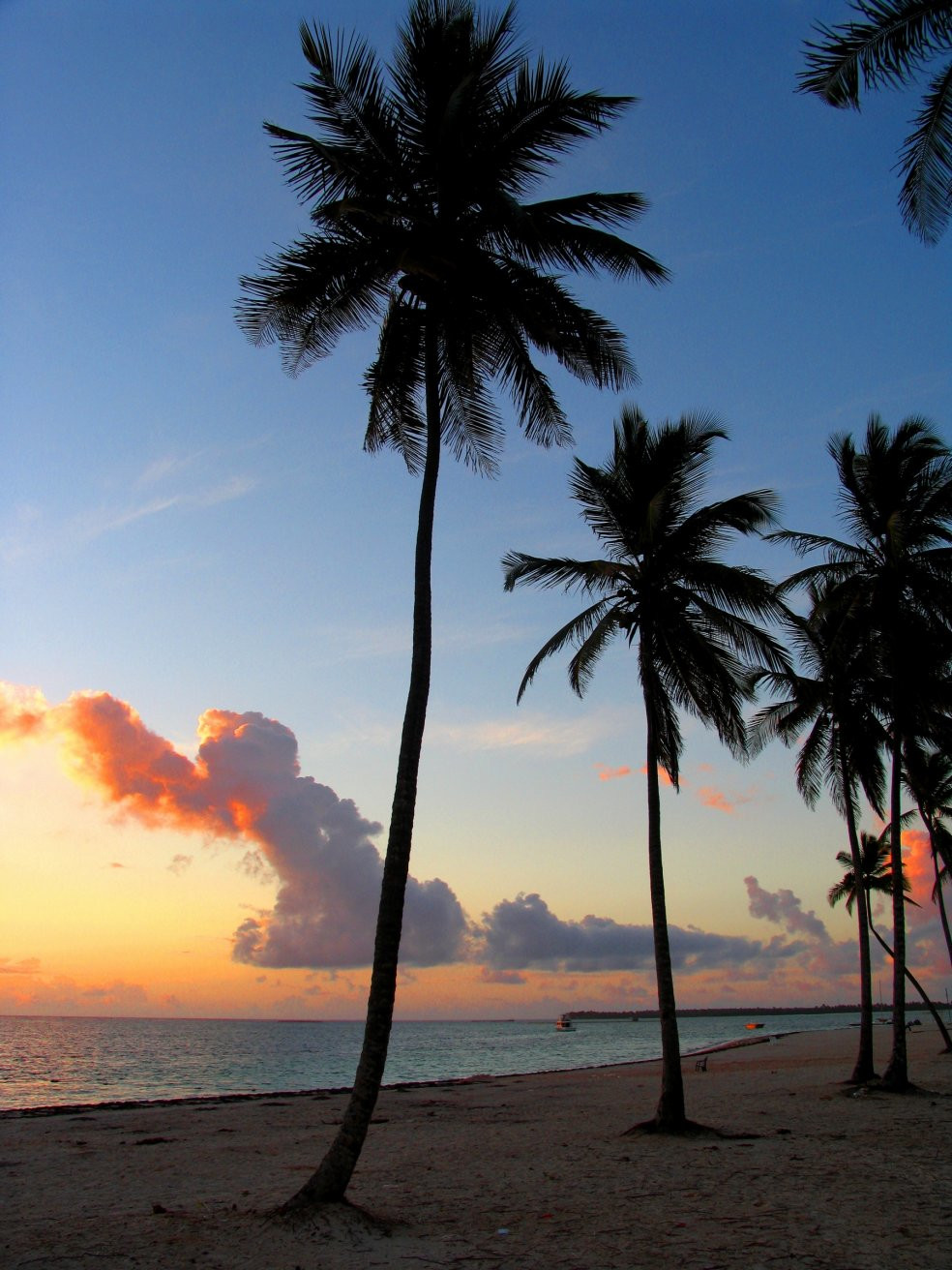 Пунта-Кана, Доминикана, фото № 30556 – фотографии Доминиканы