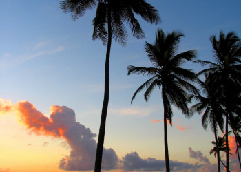 Пунта-Кана, Доминикана, фото № 30556 – фотографии Доминиканы