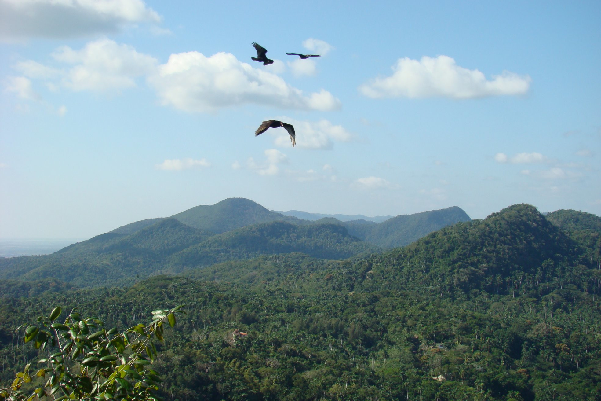 Горы в Пинар дель Рио провинция, Куба. Фото 10 – фотографии Кубы